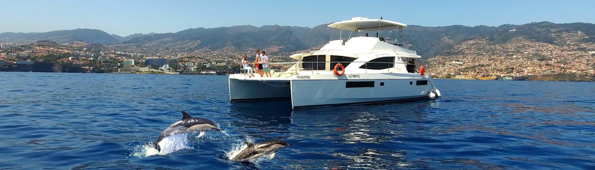 Catamaran durant l'excursion privée en catamaran au coucher du soleil avec observation des dauphins avec VIP Dolphins Madeira.