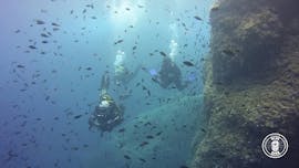 Formation de plongée (PADI) avec Blue Dive Menorca.