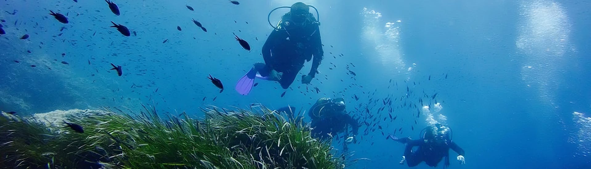 Buceadores durante una inmersión con Curso PADI Open Water en Addaia para principiantes con Blue Dive Menorca.