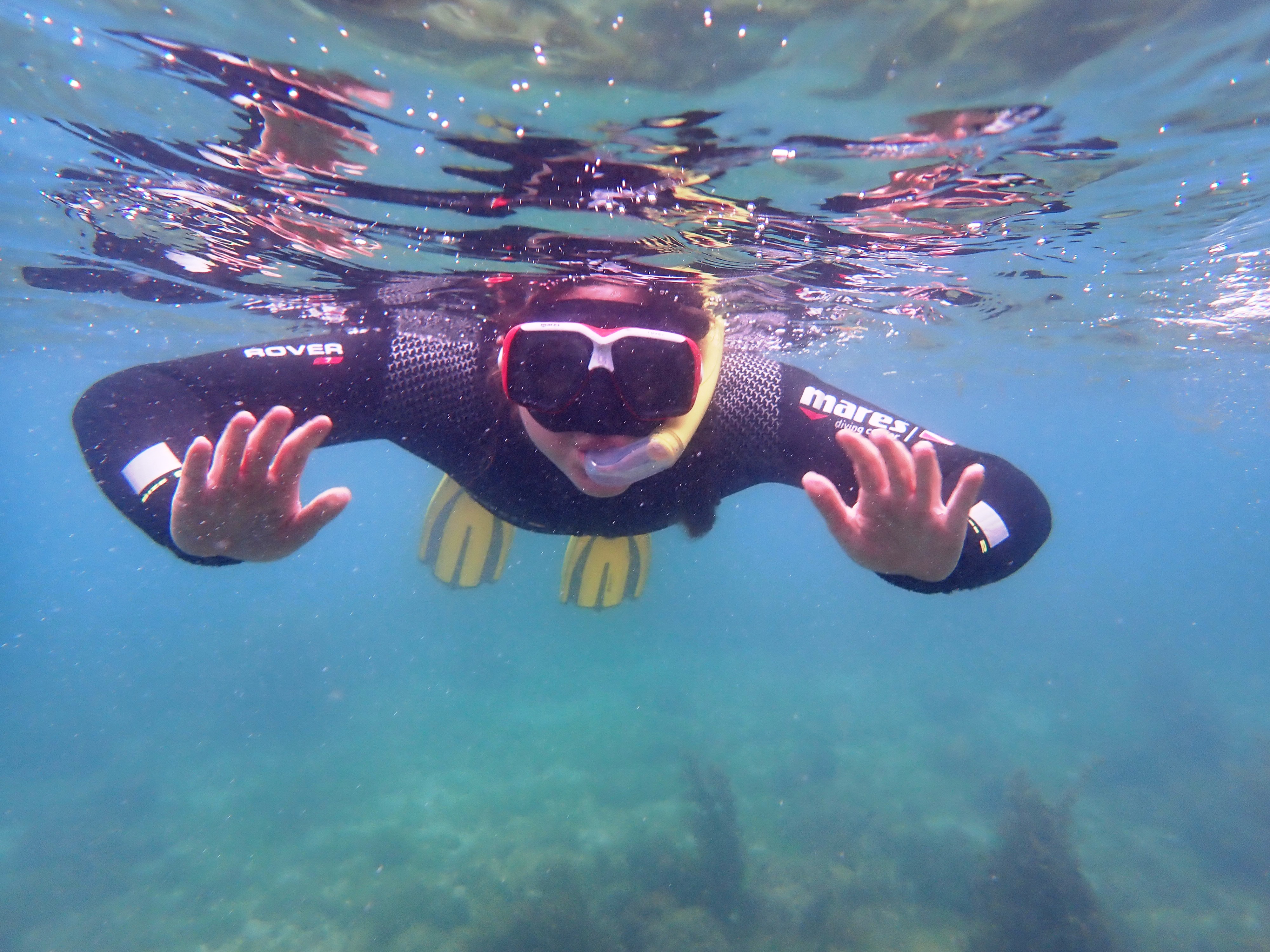 Snorkeling and Boat Trip at Sesimbra from Arrábida Experiences.