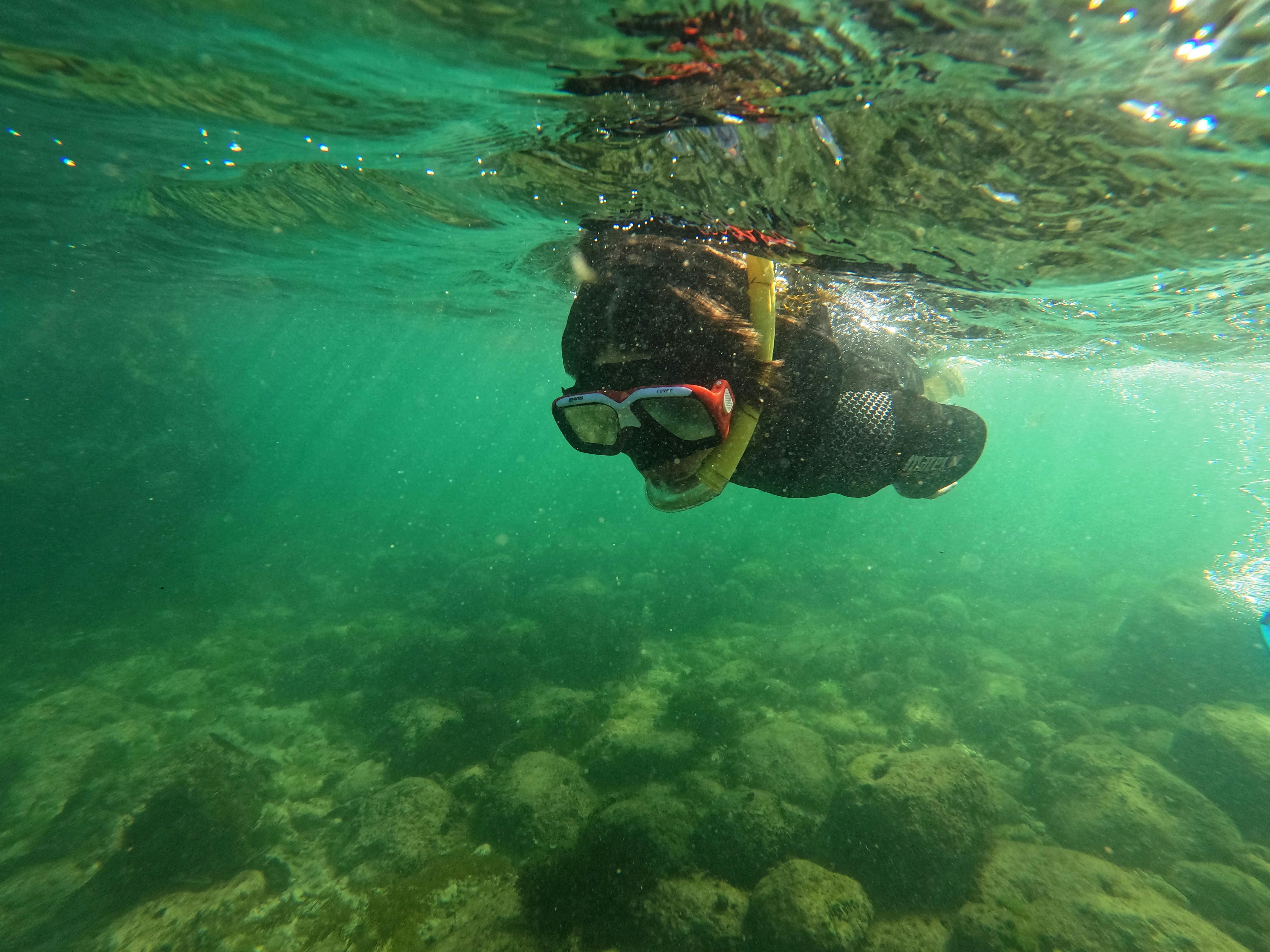 Snorkeling and Boat Trip at Sesimbra from Arrábida Experiences.