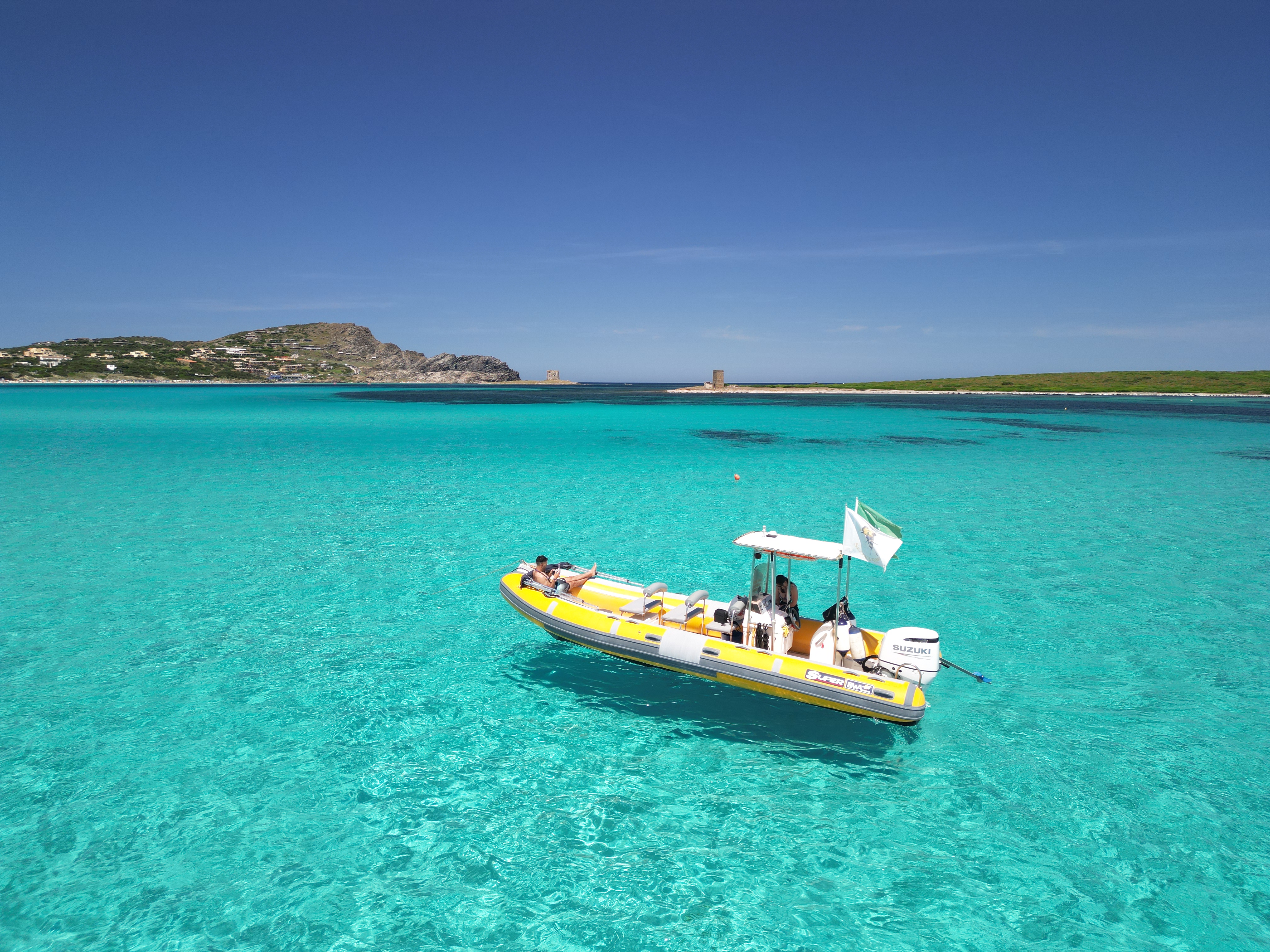 Giro in gommone da Stintino al Parco Nazionale dell'Asinara con aperitivo con North West Sea Excursions Asinara.