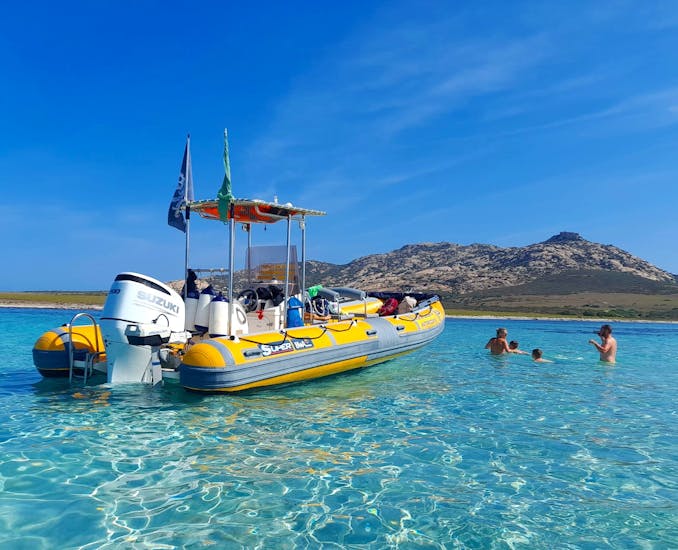 People enjoying a swimming stop during the Private RIB Boat Trip from Stintino to Asinara National Park with Apéritif with North West Sea Excursions Asinara.