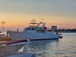 La barca che userete durante il giro in barca al tramonto da Umago con avvistamento delfini e drink di benvenuto con Finsa Cruising Umag.