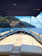Balade privée en bateau - Palmaria avec Maestrale Boat Tour Cinque Terre.