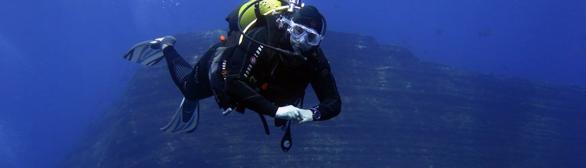 A diver during the Guided & Unguided Dive in Argelès-sur-Mer for Certified Divers from Magellan Plongée Argelès-sur-Mer.