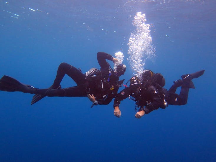 Des plongeurs s'amusent lors d'une Plongée d'exploration à réserve naturelle de Cerbère-Banyuls pour Plongeurs certifiés avec Magellan Plongée Argelès-sur-Mer.
