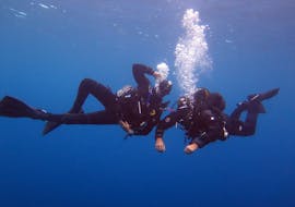 Des plongeurs s'amusent lors d'une Plongée d'exploration à réserve naturelle de Cerbère-Banyuls pour Plongeurs certifiés avec Magellan Plongée Argelès-sur-Mer.
