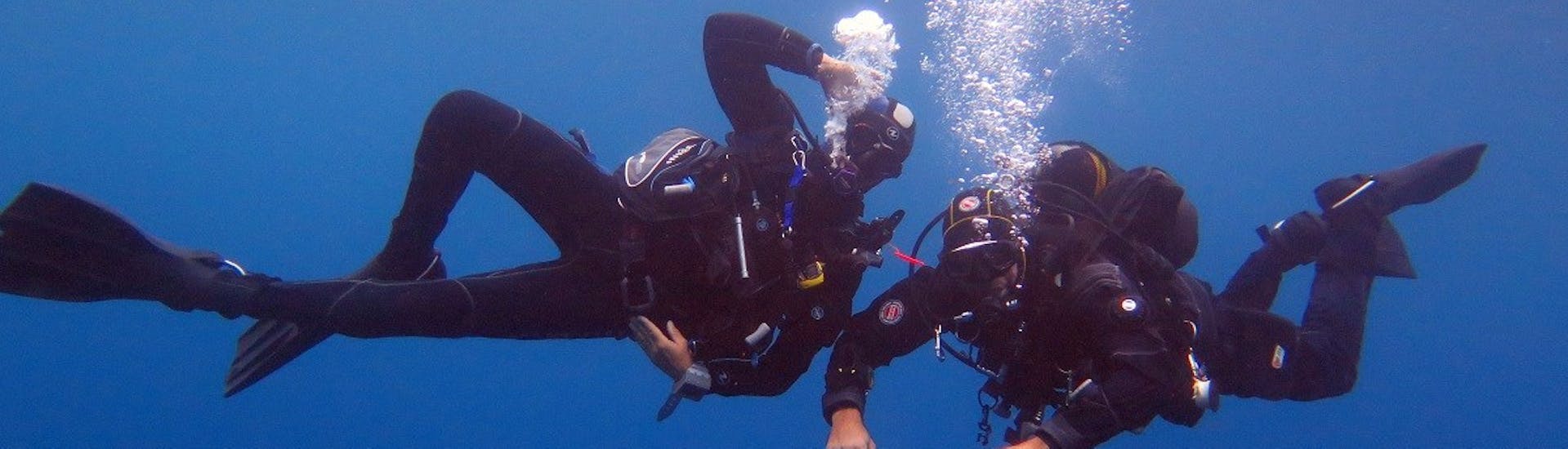People having scuba diving fun with our Guided & Unguided Dive at the Cerbère-Banyuls Marine Nature Reserve from Magellan Plongée Argelès-sur-Mer.