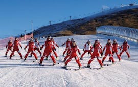 Un gruppo di sciatori durante le Lezioni di sci per adulti (da 14 anni) per tutti i livelli - Weekend con Scuola Nazionale Sci & Snow Monte Pora.