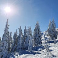 Clases de esquí de travesía privadas a partir de 4 años para todos los niveles con Skiverleih Schneider Events Geißkopf.