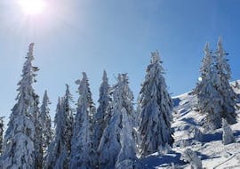 A winter landscape during Private Ski Touring Guide - Geißkopf from Skiverleih Schneider Events Geißkopf.