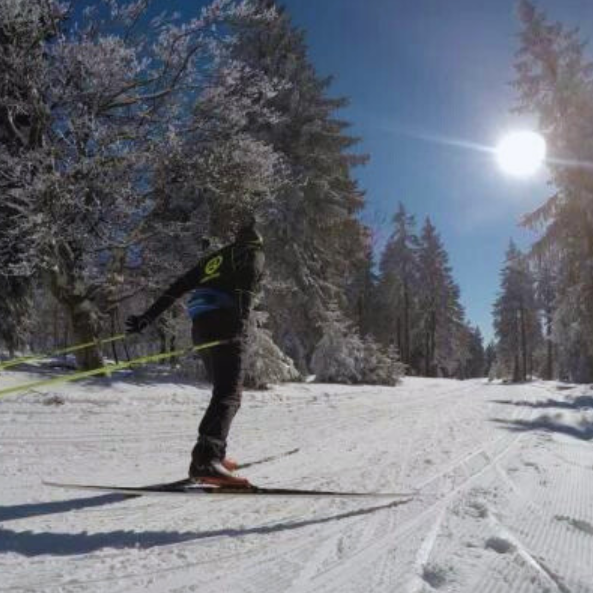 Ein Lanläufer genießt die Sonne auf den Loipen während dem Langlauf Kurs (ab 13 J.) für alle Levels mit Skischule & Verleih Sportwelt Oberhof.