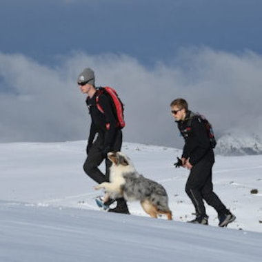 Snowshoeing Tours (from 10 y.)