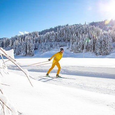 Private Cross Country Skiing Lessons for All Levels