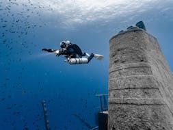 Immersioni di prova (PADI) per principianti con Starfish Diving Malta.