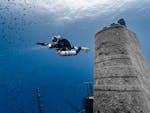 Bautismo de buceo (PADI) para principiantes con Starfish Diving Malta.