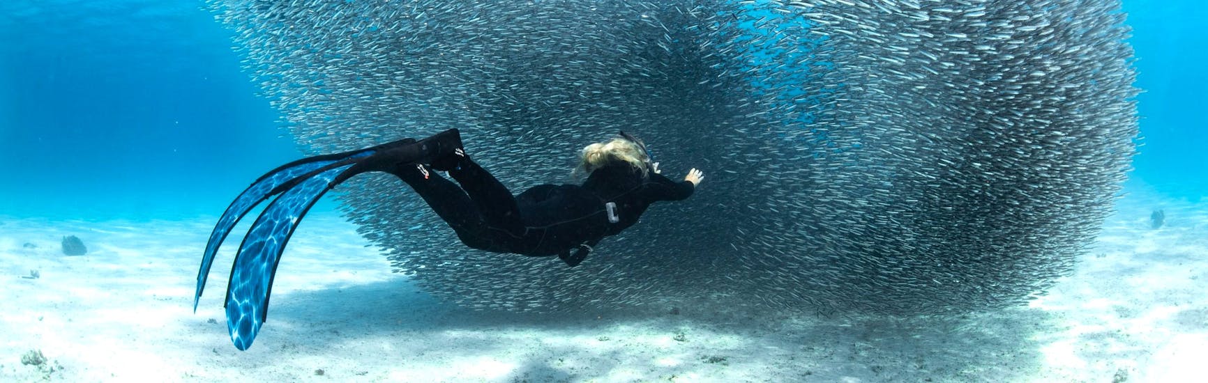 Un plongeur lors de la Formation plongée PADI Open Water à St Julian's avec Starfish Diving Malte.