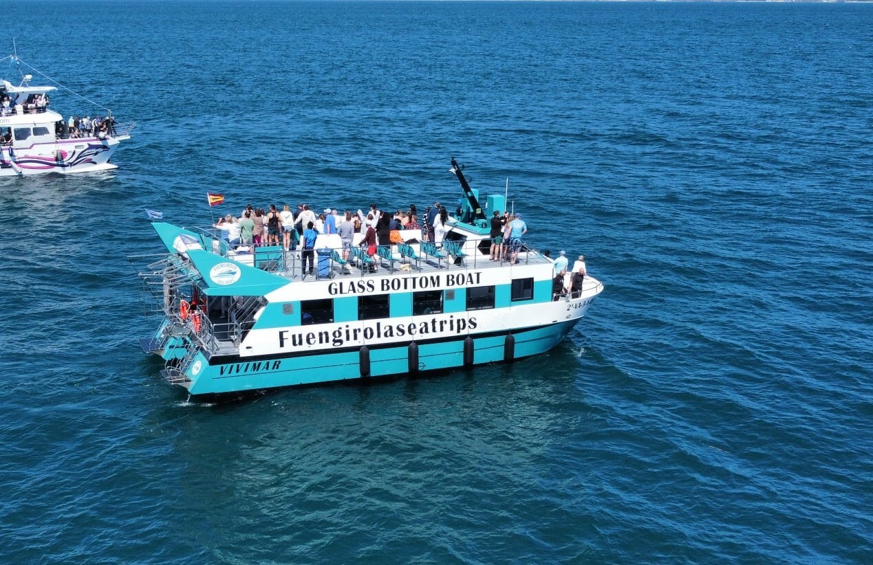 Paseo en catamarán con fondo de cristal en la Costa del Sol con avistamiento de delfines con Fuengirola Sea Trips.
