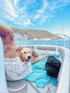 Boat Rental in Vieste (up to 6 people) from Vipa Rent Boat Vieste.