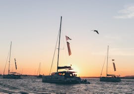 Privé Catamarantocht van Portimão naar Benagil met zwemmen & zonsondergang met The Ocean Week Portugal.