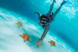 A person snorkeling with sea stars during the Snorkeling Tour on Mades Beach from Poseidon Diving Club Crete.
