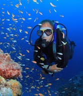 Diver with a lot of beautiful fishes during his PADI Open Water Course in Agios Nikolaos with e-learning for Beginners from Creta's Happy Divers.