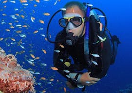Plongeur entouré de très beaux poissons durant sa Formation plongée PADI Open Water pour débutants avec e-learning dans la baie d'Agios Nikolaos avec Creta's Happy Divers.