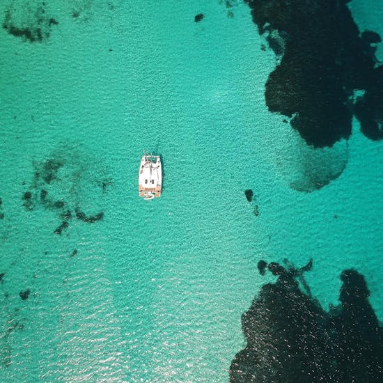 Catamarantocht naar Nationaal park Asinara  & zwemmen.