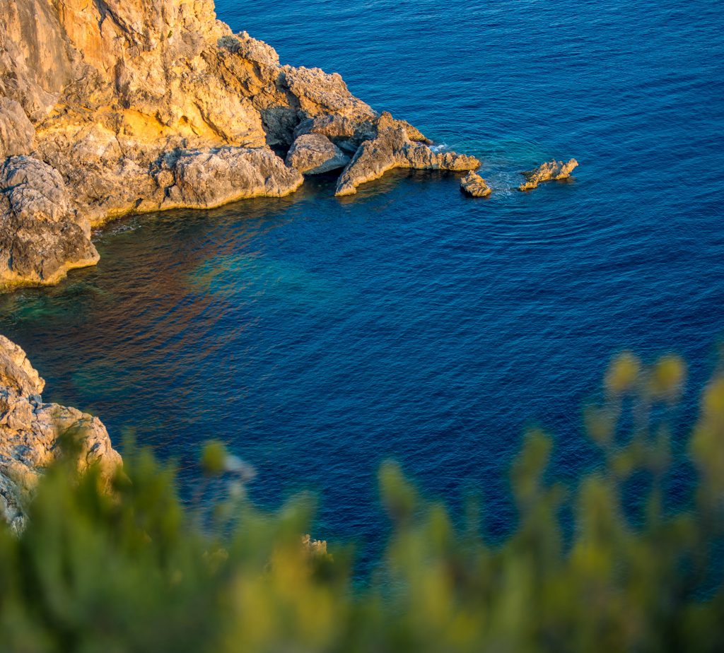 Paseo en barco a Saint-Jean-Cap-Ferrat con visita guiada.