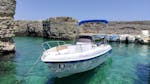 Boat Rental along the Salento Coast (Up to 8 people) from Poseidone Boat Rental & Tours