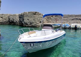 Bootverhuur in Marina di Andrano (tot 8 personen) - Santa Maria di Leuca, Grotta Palombara & Grotta Zinzulusa met Poseidone Boat rental & Boat tours Salento.