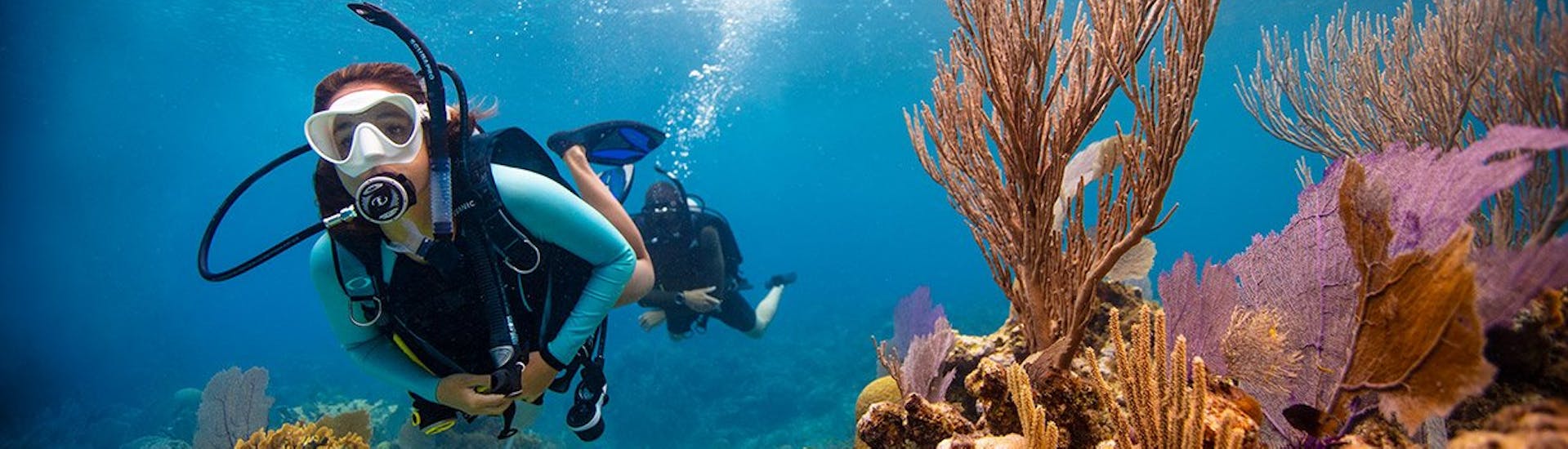 Een meisje en haar buddy die samen het onderwater leven ontdekken tijdens de Ontdek Scuba Diving Ervaring aangeboden door Dive Vision Malta.