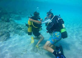 A students and instructors are diving during PADI Bubblemaker Scuba Diving Course for Kids in Latchi (from 8 y.) from Latchi Dive & Watersports Centre.