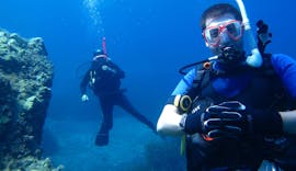 Plongée d'exploration (PADI) à Latchi pour Plongeurs certifiés avec Latchi Dive & Watersports Centre.