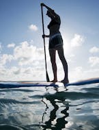 Privé Stand Up Paddle verhuur in Anassa Beach  voor beginners met Latchi Dive & Watersports Centre.