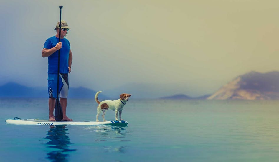 Privé Stand Up Paddle verhuur in Anassa Beach  voor beginners.