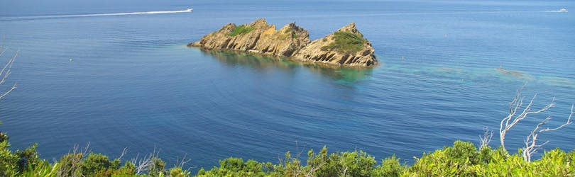 Magnifique île vue durant la Balade en bateau avec escales à Porqurolles et Port-Cros depuis Bormes-les-Mimosas avec Latitude Verte Bormes-les-Mimosas.