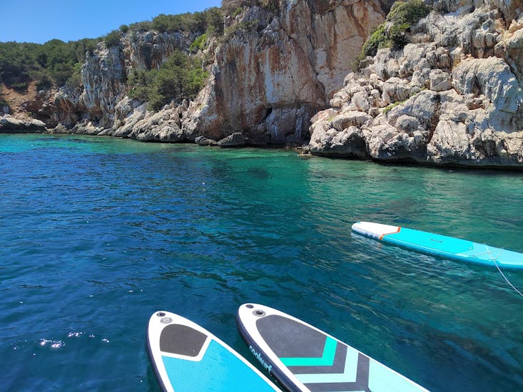 Gita in yacht privato da Alghero a Porto Conte con snorkeling e pranzo.