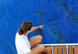 Frau sitzt im Segelboot und beobachtet einen Delfin.