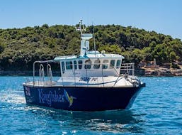 Gita in barca da Pola città (Pula) a Pola città (Pula)  e bagno in mare con Pula Boat Tours Croatia.