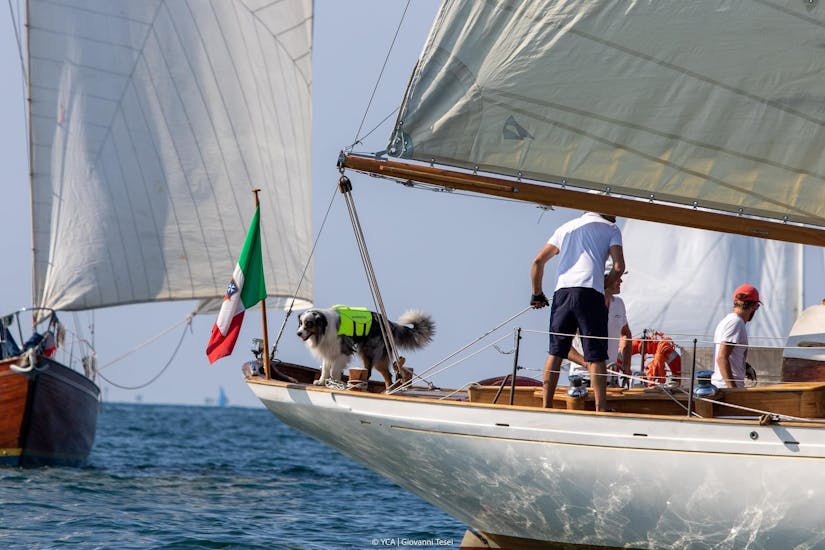 Private Vintage Sailboat Trip to Duino and Miramare Castles.