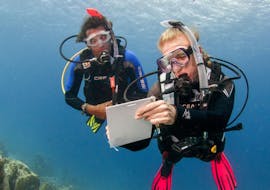 The diving instructor is showing something to the student underwater during the PADI Discover Scuba Diving - Intro in Crete from Diver's Club Crete.