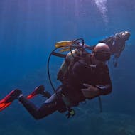 Corso di immersione per sub certificati con Orcasub Formentera.