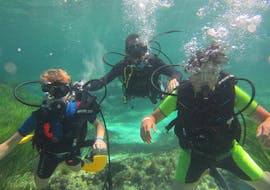 Immersioni di prova a Formentera per principianti con Orcasub Formentera.