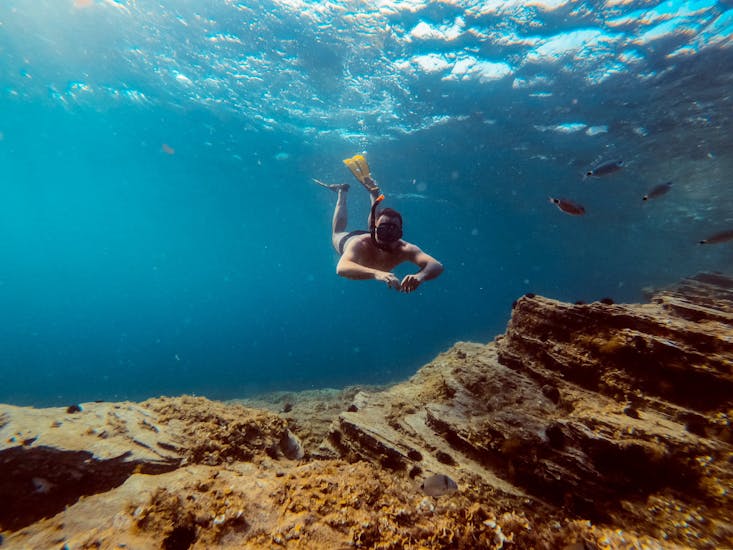 A man who is snorkeling during to boat trip organized by Malta Explorers.