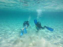 Immersioni di prova per principianti con Orcasub Formentera.