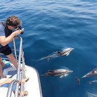 Ein Mann fotografiert die Delfine vom Katamaran aus während derKatamarantour mit Delfinbeobachtung ab Lagos mit Days of Adventure Algarve.