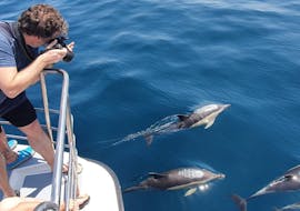 Ein Mann fotografiert die Delfine vom Katamaran aus während derKatamarantour mit Delfinbeobachtung ab Lagos mit Days of Adventure Algarve.