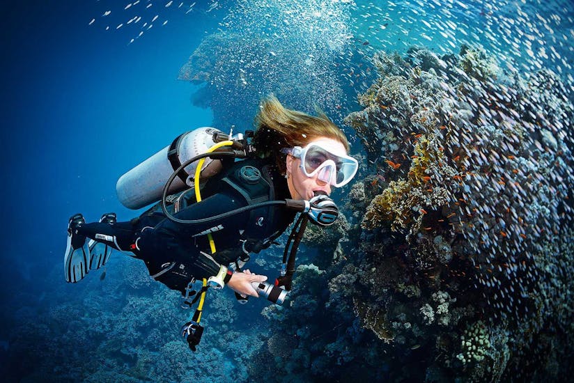 Under water image showing someone scuba diving alongside a school of fish next to the coral reef in Lagos.